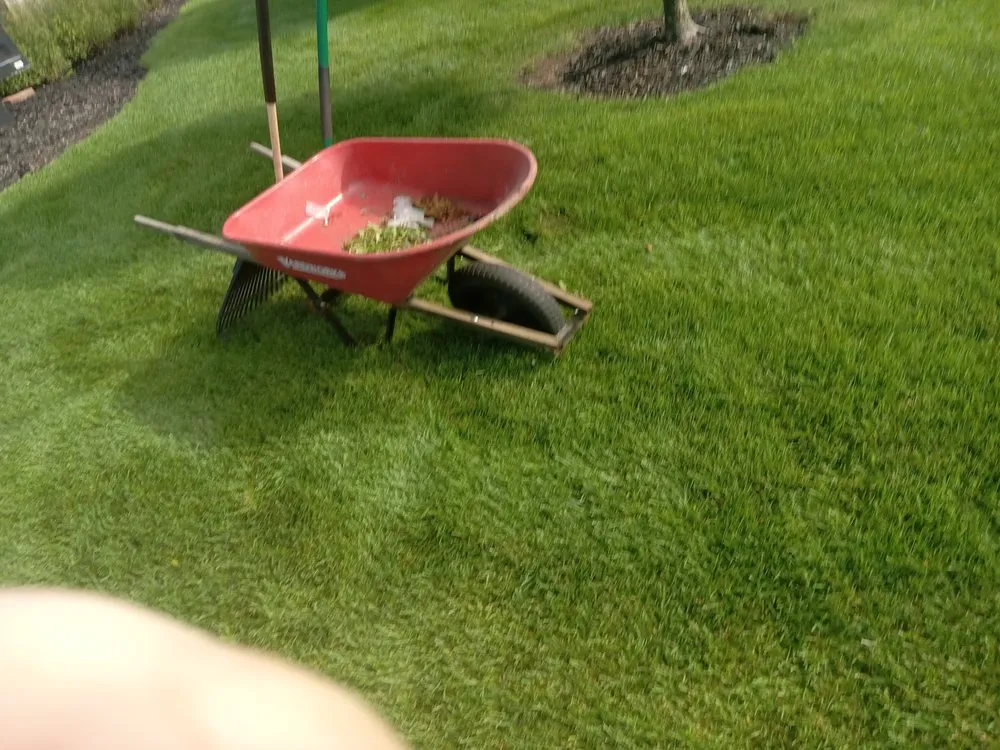 Affordable landscaping services experts serving Ionia, MI - Justin's General service's