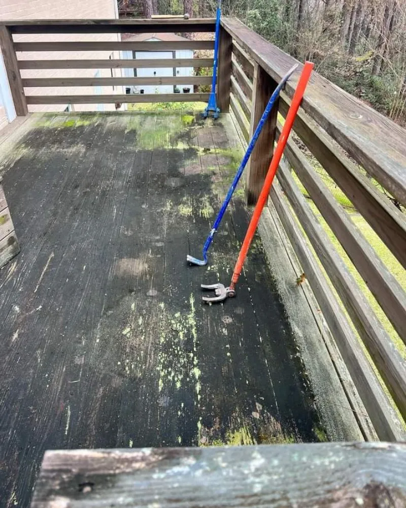 Top-rated yard cleanup service in Talladega, AL - Justin's handyman services