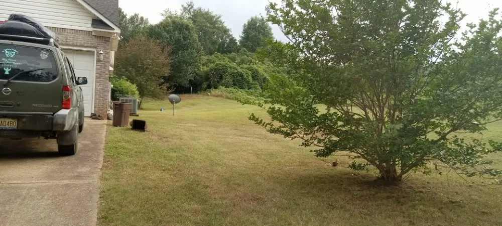 Top-rated lawn care service in Talladega, AL - Justin's handyman services