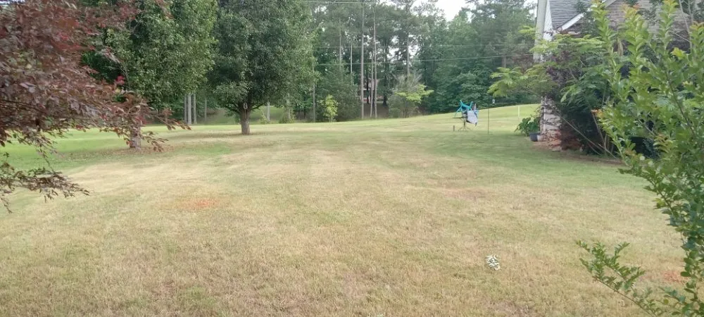 Professional lawn care service for year-round maintenance across Talladega, AL - Justin's handyman services