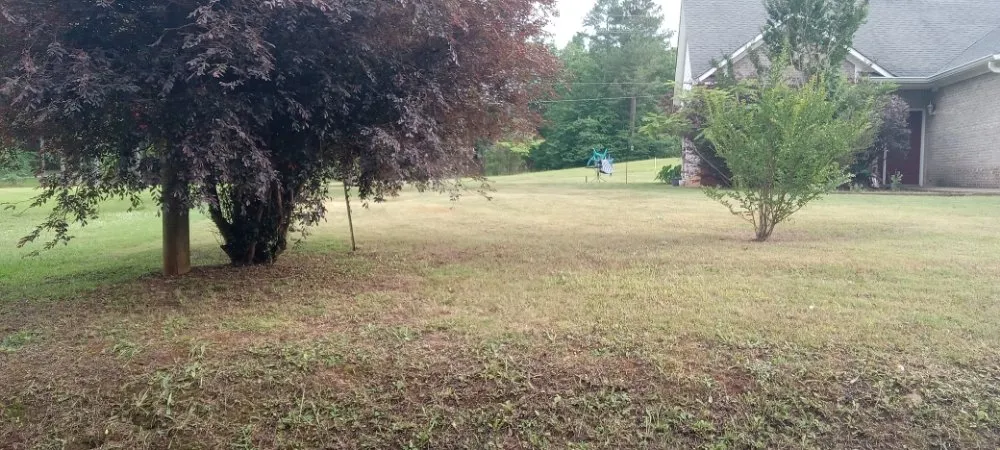 Local landscaping services in Talladega, AL by Justin's handyman services