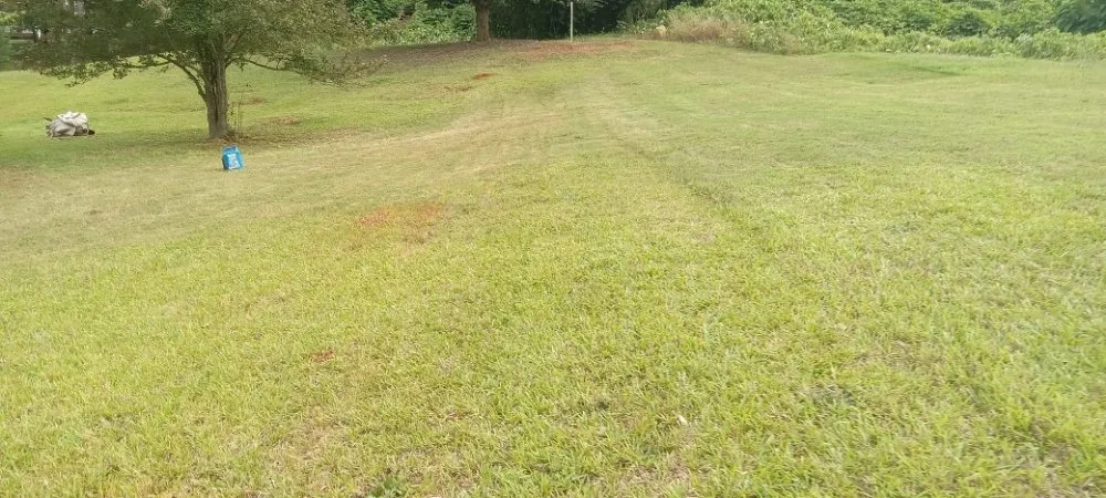 Local lawn care service experts serving Talladega, AL - Justin's handyman services