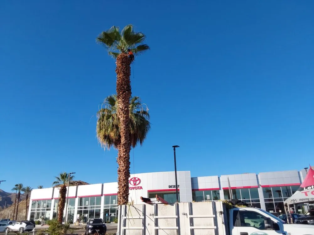 Custom landscape installation for homes across Palm Desert, CA - Justin's Landscape & Design