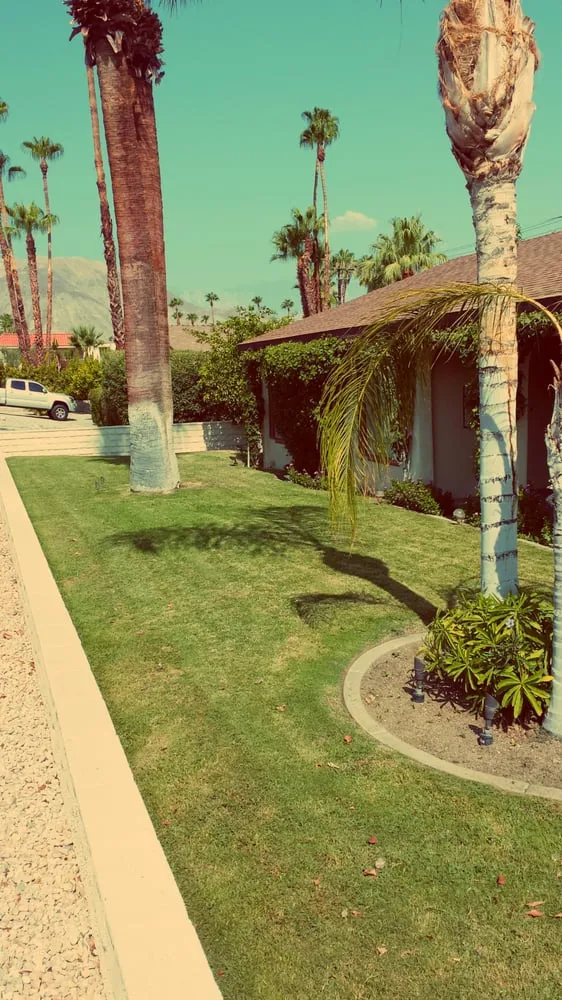 Affordable landscaping services in Palm Desert, CA - Justin's Landscape & Design