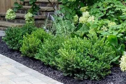 Custom lawn care service in Keizer, OR by Justin's Landscaping