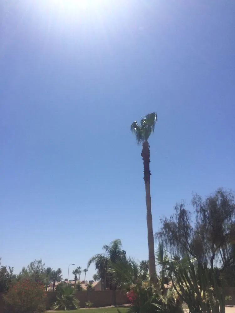 Custom lawn mowing service in Chandler, AZ - Justin's Lawn & Landscape Service