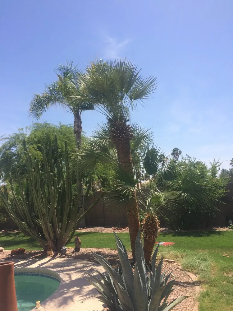 Professional residential landscaping experts serving Chandler, AZ - Justin's Lawn & Landscape Service