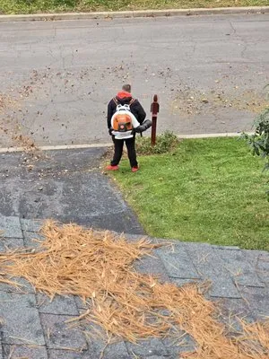 Justins Lawn & Snow