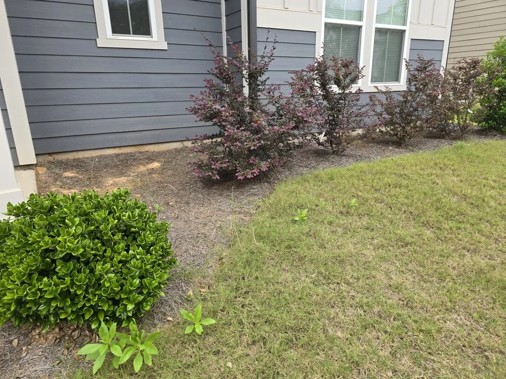 Top-rated lawn care service in Baxley, GA - Justin's Lawn Care and Pressure Washing