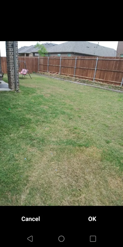 Reliable yard maintenance in Bridgeport, TX by Justin's Lawn Care Service