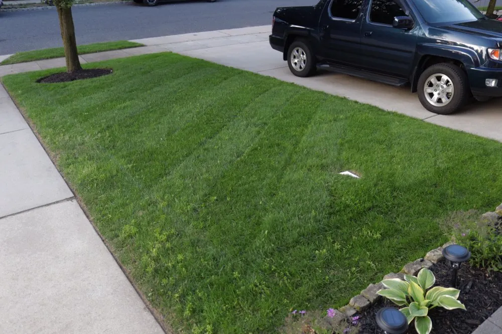 Top-rated yard cleanup service in Hainesport, NJ by Justin's Lawn Maintenance