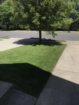 Justin's Lawn Maintenance