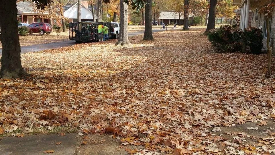 Expert lawn care service in Hope, AR by Justin's Lawn Service