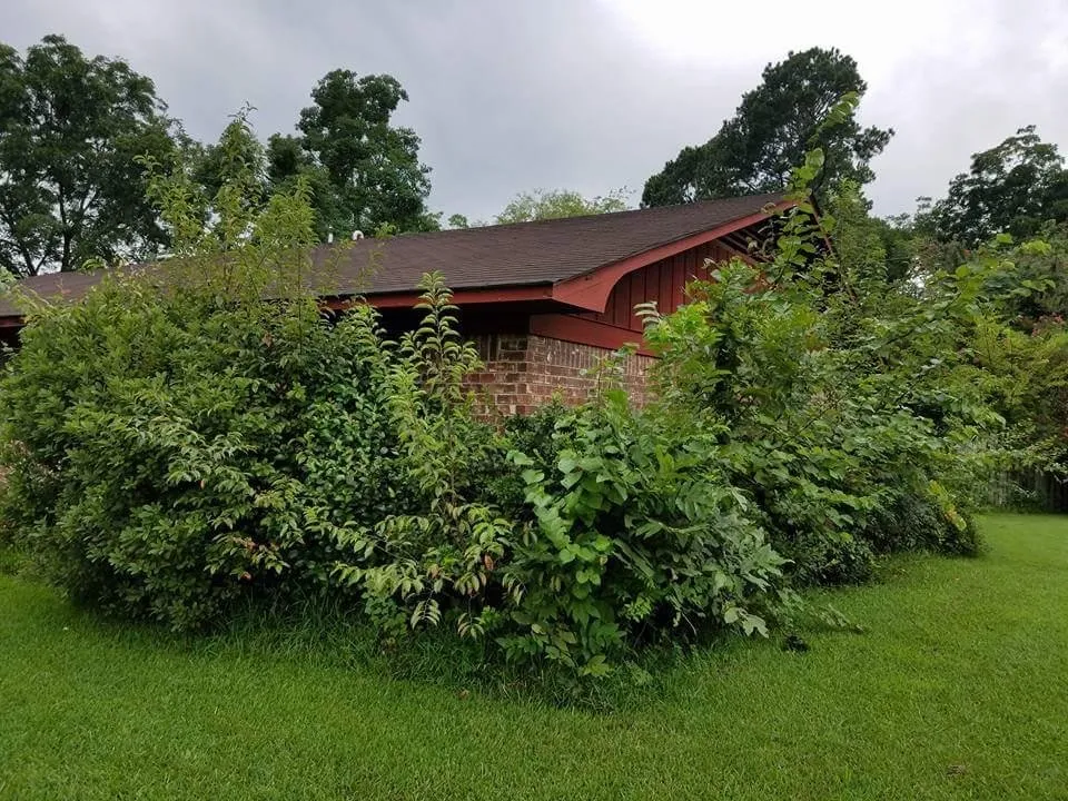 Reliable yard maintenance for homes across Hope, AR - Justin's Lawn Service