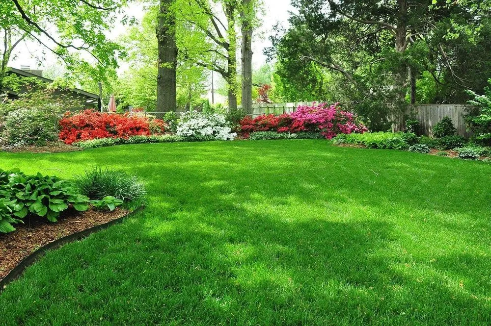 Reliable yard maintenance in Hope, AR - Justin's Lawn Service