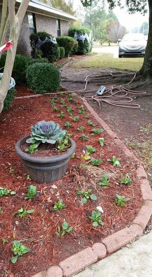Affordable landscape design in Hope, AR - Justin's Lawn Service