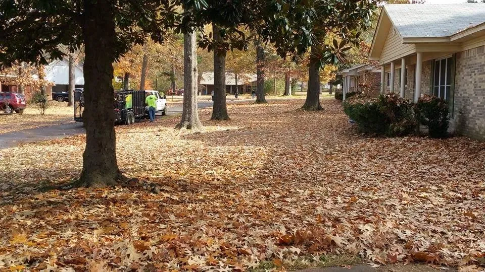 Trusted landscape design in Hope, AR by Justin's Lawn Service