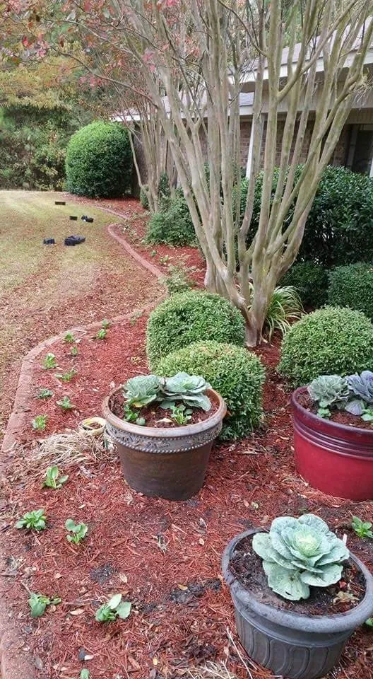 Local landscaping services in Hope, AR - Justin's Lawn Service