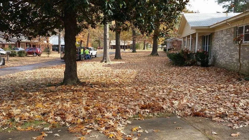 Professional lawn care service experts serving Hope, AR - Justin's Lawn Service