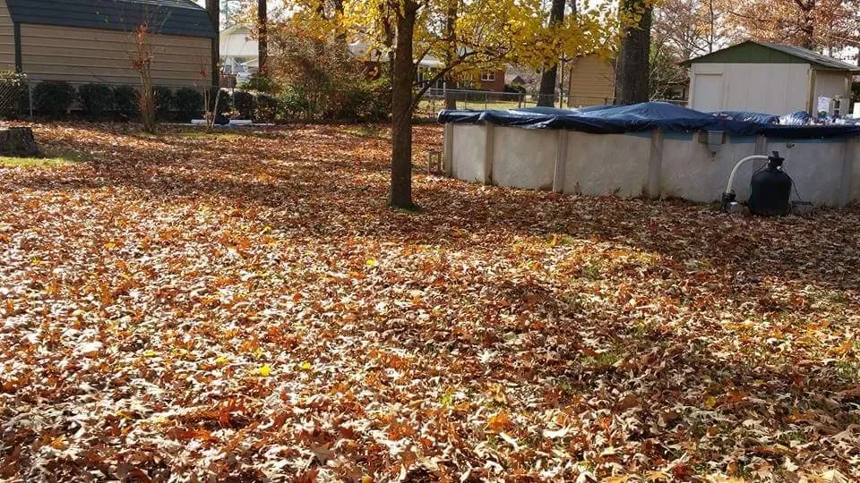 Top-rated landscape installation in Hope, AR - Justin's Lawn Service