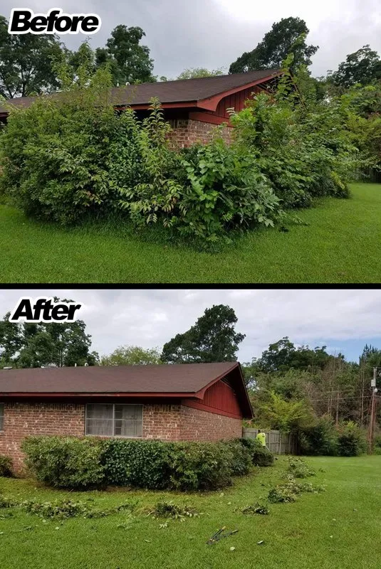 Custom landscape design experts serving Hope, AR - Justin's Lawn Service