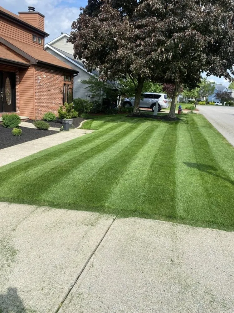 Trusted lawn care service experts serving Lima, OH - Justins Lawncare