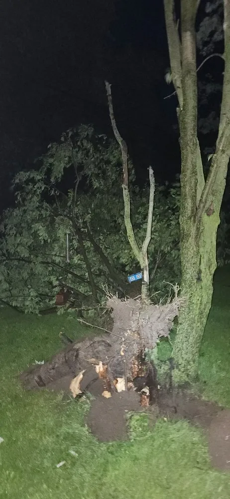 Custom yard cleanup service in Lima, OH - Justins Lawncare