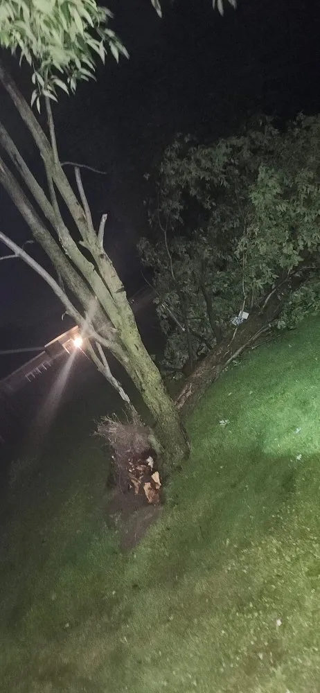 Affordable landscaping services for homes in Lima, OH by Justins Lawncare