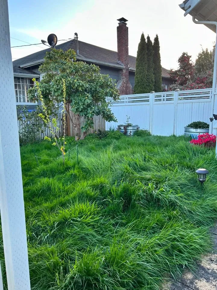 Custom outdoor landscaping for beautiful yards across Longview, WA - Justins Mowing