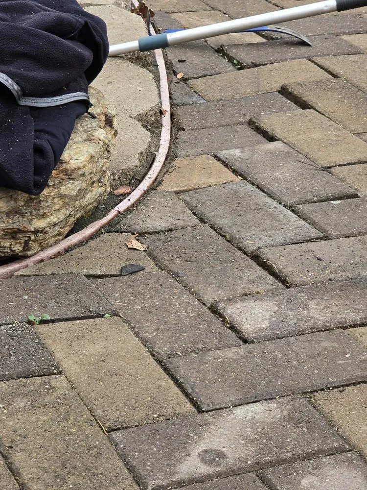 Expert landscape design for beautiful yards in Fairfield, CA by Justin’s Professional Landscaping