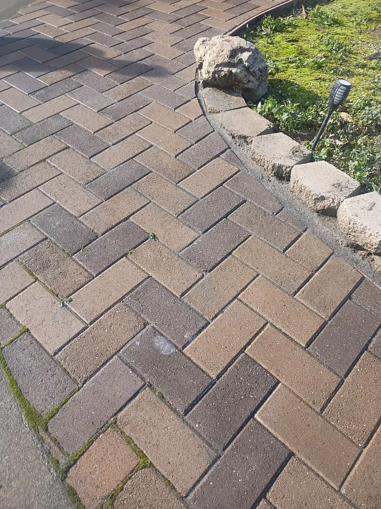 Reliable landscaping services experts serving Fairfield, CA - Justin’s Professional Landscaping