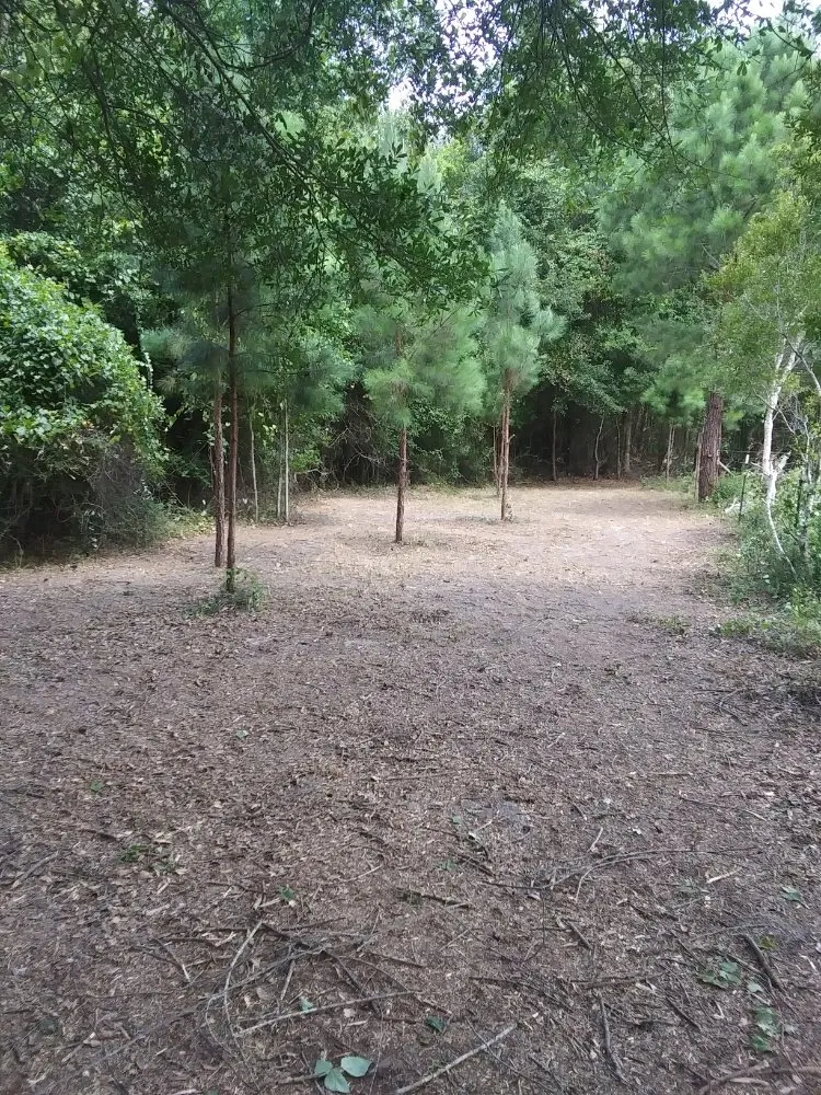 Trusted garden landscaping for year-round maintenance across Jesup, GA - Justiz Mowing Service