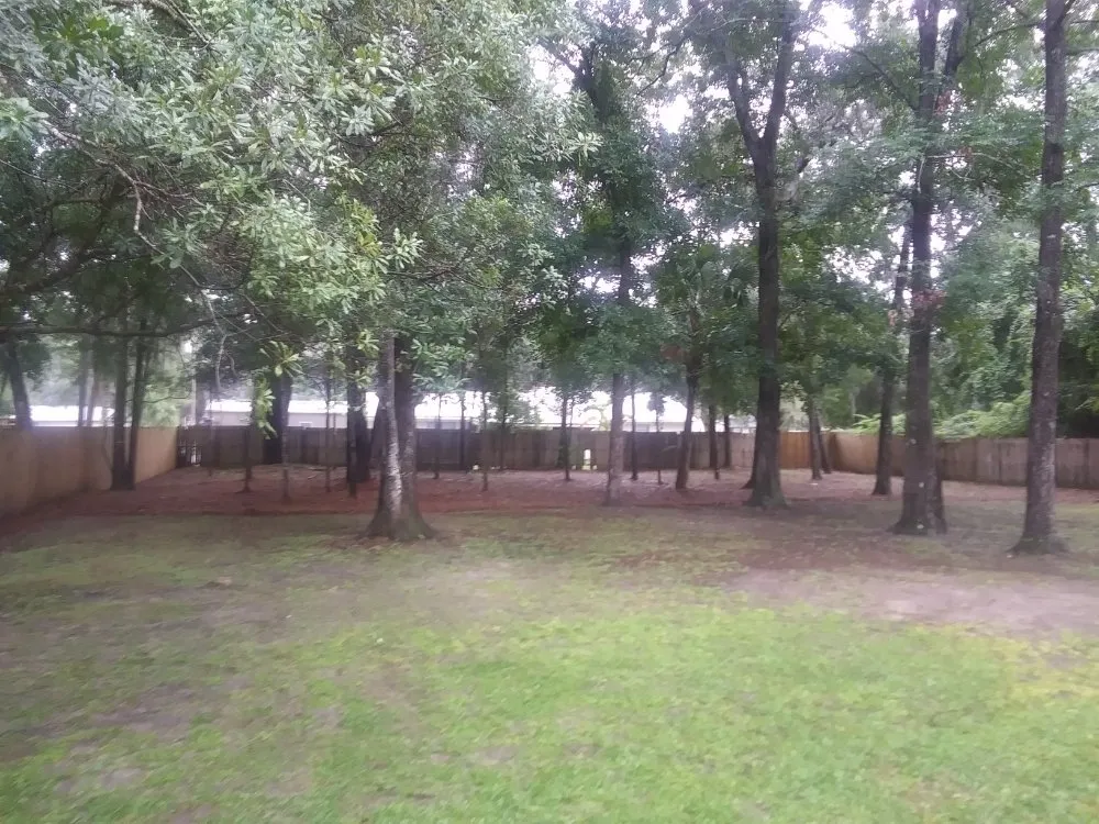 Custom yard maintenance in Jesup, GA by Justiz Mowing Service