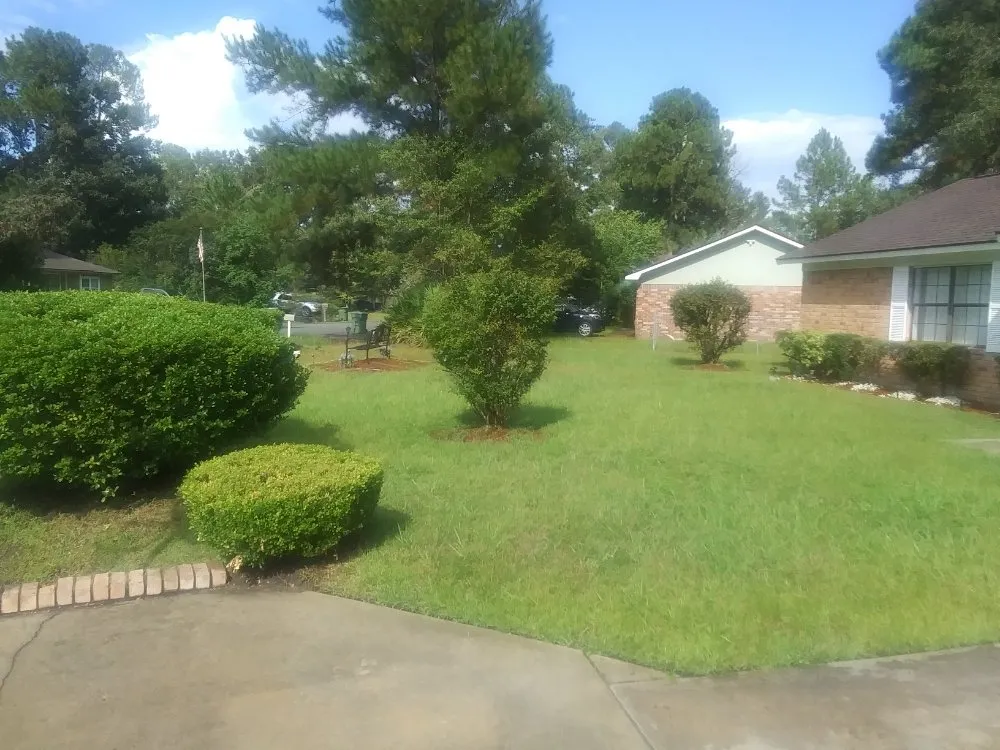 Local residential landscaping experts serving Jesup, GA - Justiz Mowing Service