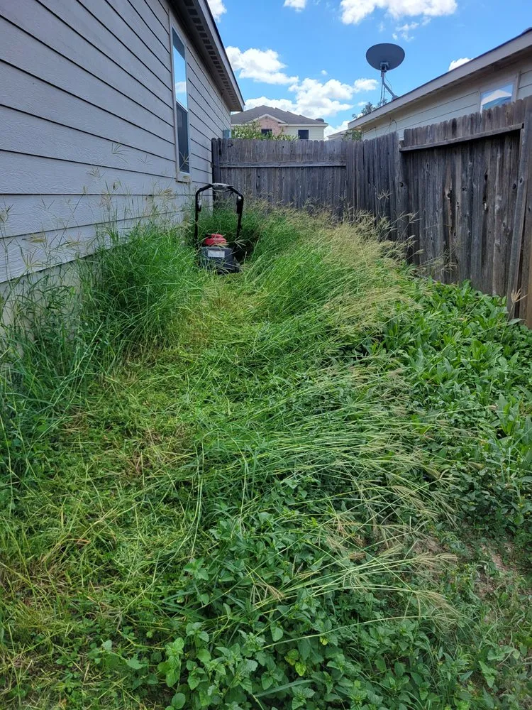 Reliable yard maintenance experts serving San Antonio, TX - Justo Landscape and Lawn Services