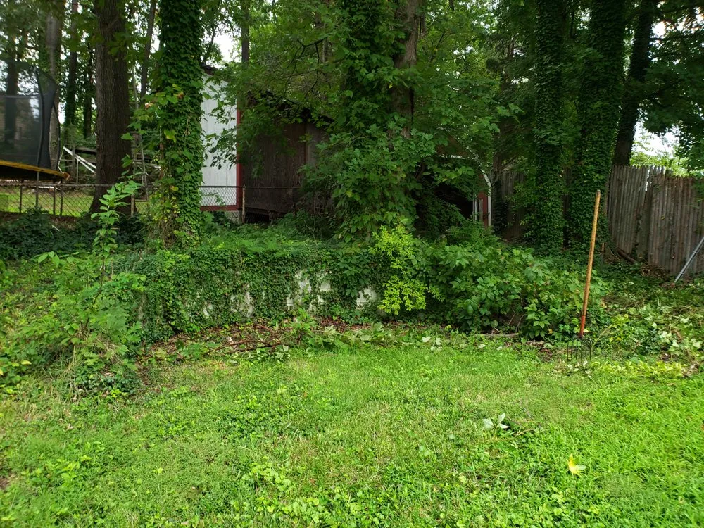 Trusted lawn mowing service for beautiful yards in San Antonio, TX by Justo Landscape and Lawn Services