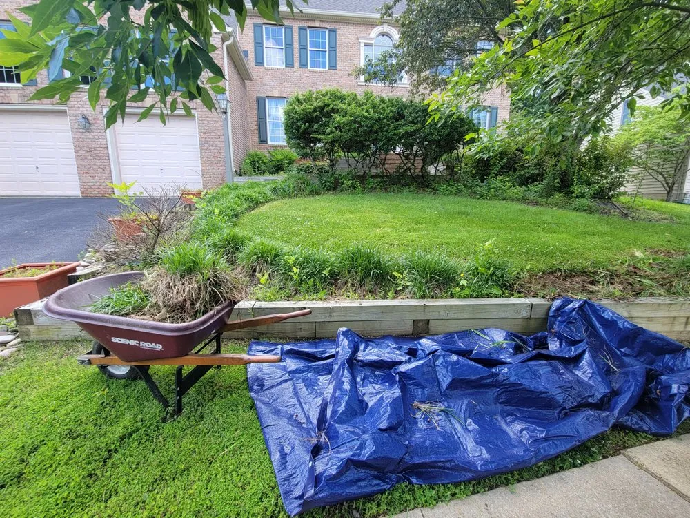 Expert yard maintenance in San Antonio, TX - Justo Landscape and Lawn Services