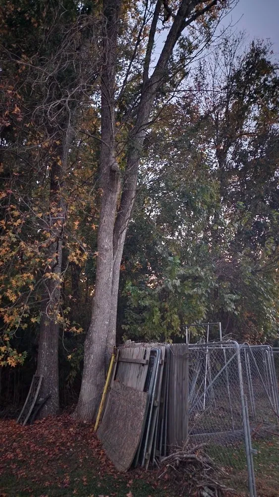 Trusted garden landscaping in Trinity, NC - Justus Landscaping