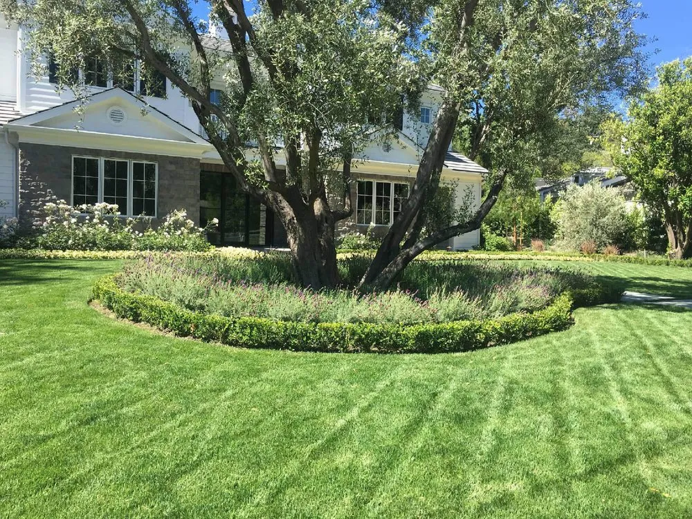 Professional outdoor landscaping for residential properties across Santa Rosa, CA - Juve & Sons Landscape Maintenance