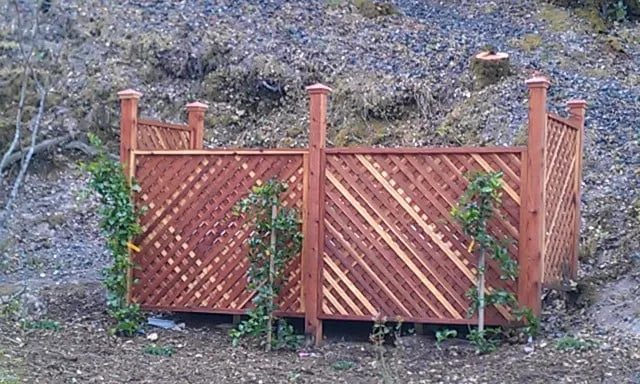 Expert yard maintenance in Santa Rosa, CA - Juve & Sons Landscape Maintenance