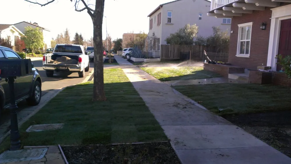 Professional lawn care service with custom design across Santa Rosa, CA - Juve & Sons Landscape Maintenance