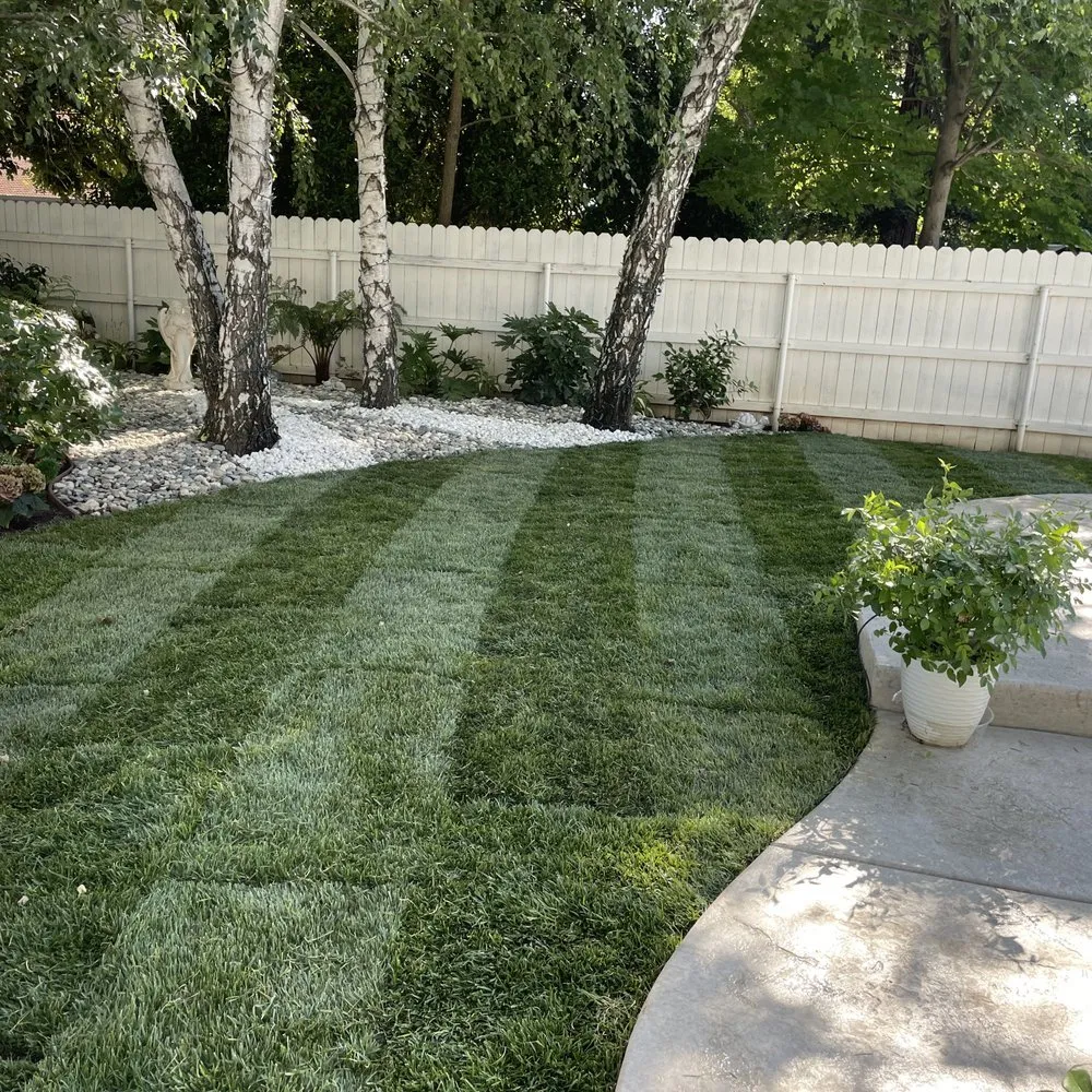 Affordable yard cleanup service in Santa Rosa, CA - Juve & Sons Landscape Maintenance