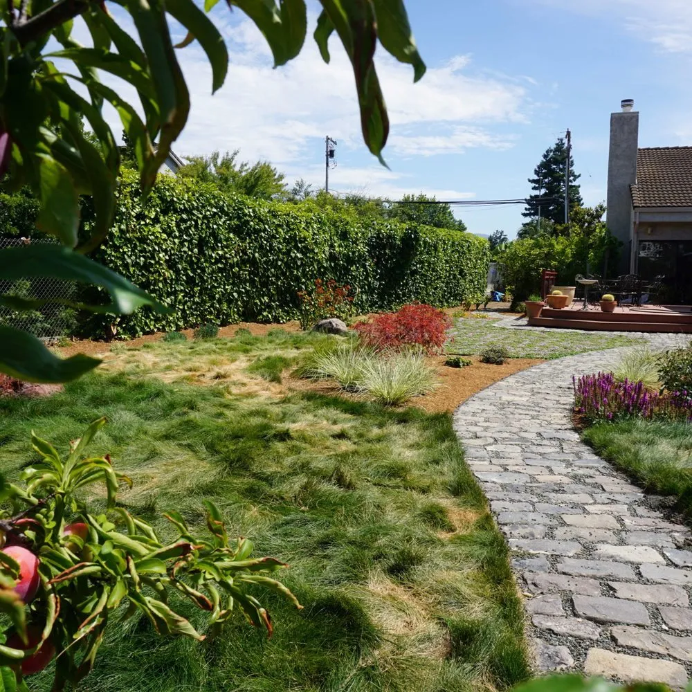 Professional yard maintenance for homes in Santa Rosa, CA by Juve & Sons Landscape Maintenance