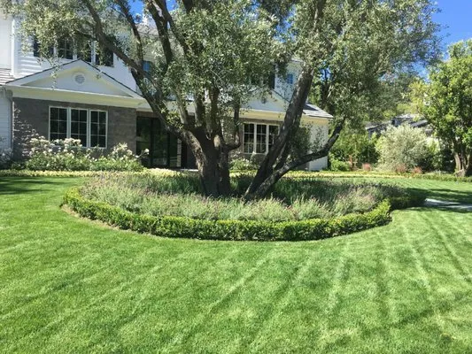 Juve & Sons Landscape Maintenance Logo