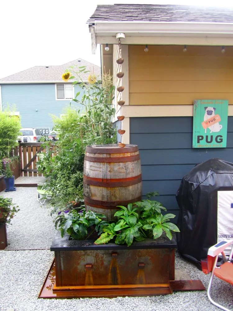 Expert landscape installation for year-round maintenance in Seattle, WA by Juxtapose Design Build, LLC