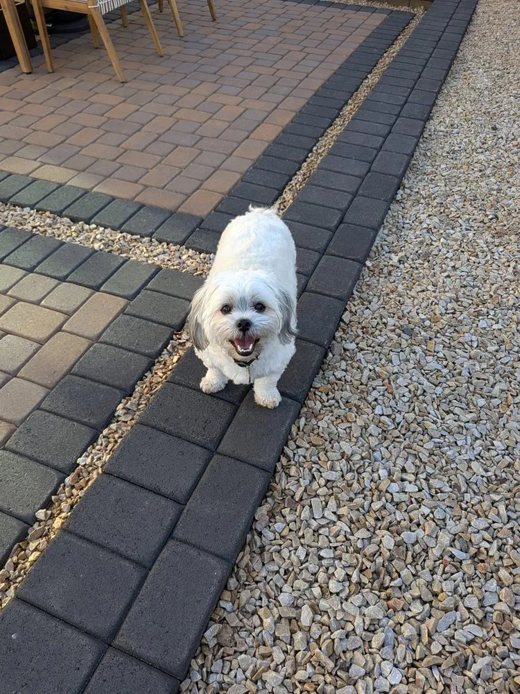 Local yard maintenance with custom design across Casa Grande, AZ - JV & G Landscapes