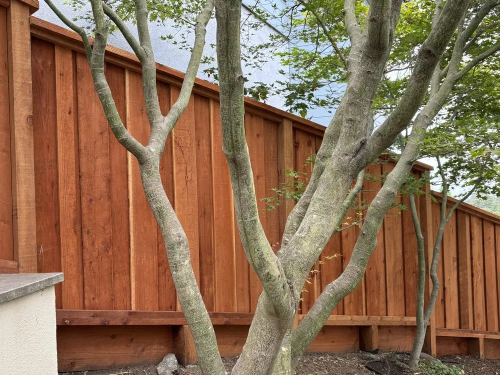 Reliable landscaping services in Oakland, CA - JV Gardening & Landscaping