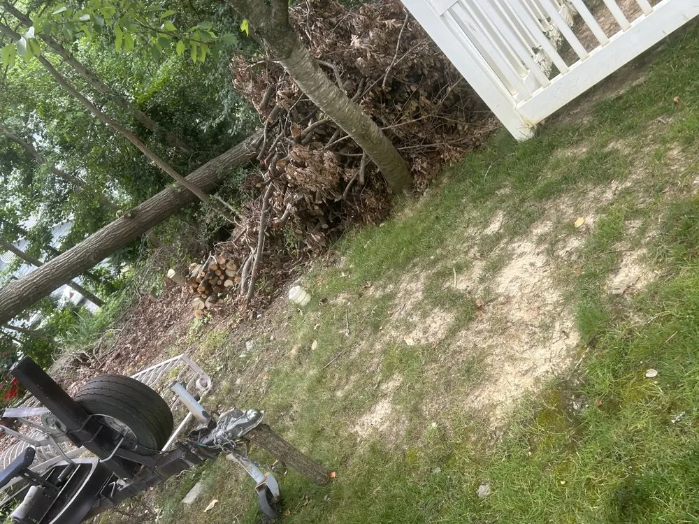 Affordable yard cleanup service in Annapolis, MD by JV Landscape And Tree Services