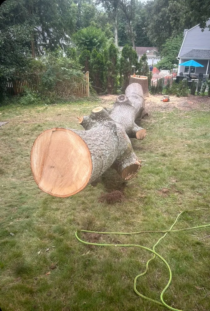 Affordable lawn mowing service for outdoor upgrades across Annapolis, MD - JV Landscape And Tree Services