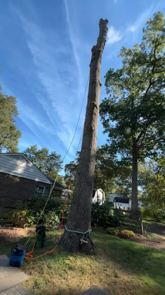 Expert lawn mowing service in Annapolis, MD by JV Landscape And Tree Services